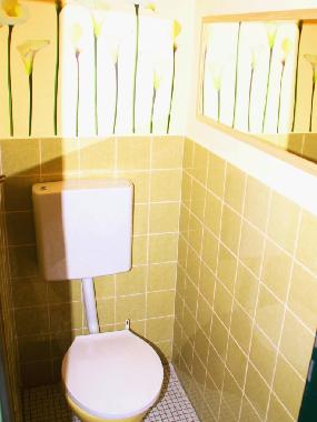 Ferienwohnung in Bad Ems (Rheintal, Lahn, Taunus) oder Ferienwohnung oder Ferienhaus