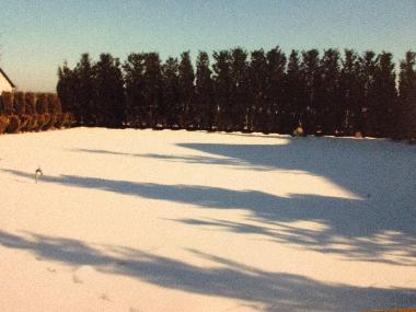 Ferienhaus in Rekowo (Pomorskie) oder Ferienwohnung oder Ferienhaus