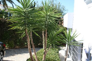 Villa in Marbella (M�laga) oder Ferienwohnung oder Ferienhaus