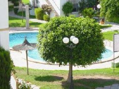 Ferienwohnung in torrevieja (Alicante / Alacant) oder Ferienwohnung oder Ferienhaus