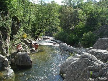 Ferienwohnung in Valleraugue (Gard) oder Ferienwohnung oder Ferienhaus