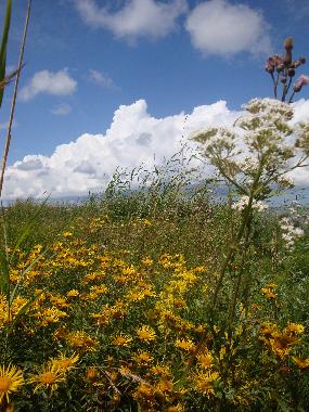 Boot in L�bara (Saaremaa) oder Ferienwohnung oder Ferienhaus