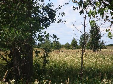 Boot in L�bara (Saaremaa) oder Ferienwohnung oder Ferienhaus