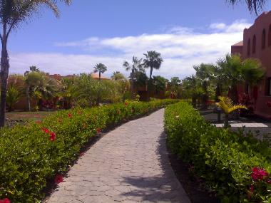 Ferienwohnung in CORRALEJO (Fuerteventura) oder Ferienwohnung oder Ferienhaus