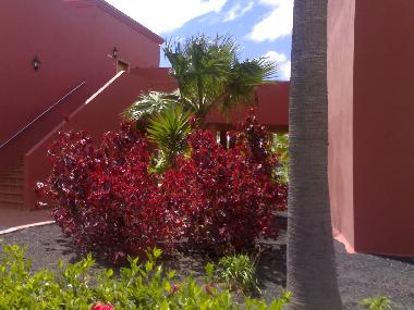 Ferienwohnung in CORRALEJO (Fuerteventura) oder Ferienwohnung oder Ferienhaus