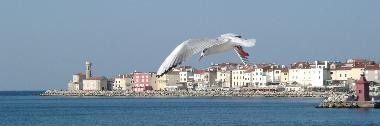 Ferienwohnung in Piran (Piran) oder Ferienwohnung oder Ferienhaus