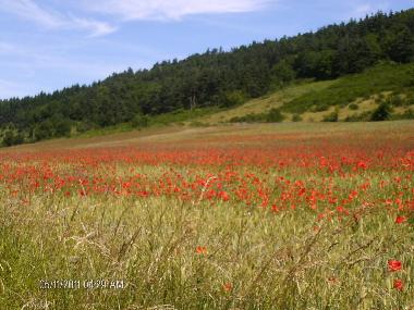Ferienhaus in lavoute chilhac (Haute-Loire) oder Ferienwohnung oder Ferienhaus