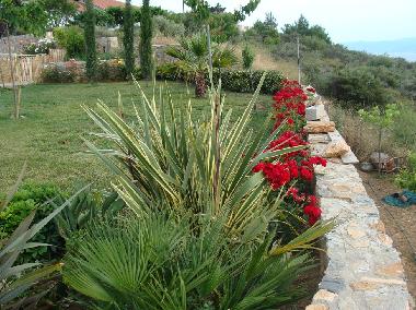 Ferienwohnung in VOLOS (Magnisia) oder Ferienwohnung oder Ferienhaus