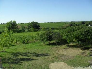 Ferienwohnung in Saint Aubin de Luign (Maine-et-Loire) oder Ferienwohnung oder Ferienhaus