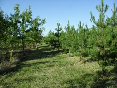 Ferienwohnung in Saint Aubin de Luign (Maine-et-Loire) oder Ferienwohnung oder Ferienhaus