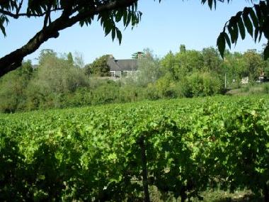 Ferienwohnung in Saint Aubin de Luign (Maine-et-Loire) oder Ferienwohnung oder Ferienhaus