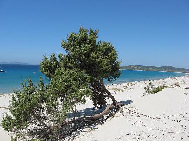 Villa in GIBA (Porto-Pino) (Carbonia-Iglesias) oder Ferienwohnung oder Ferienhaus