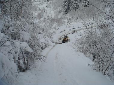 Ferienhaus in Sirnea (Brasov) oder Ferienwohnung oder Ferienhaus