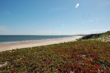 Ferienhaus in Punta del Este (Maldonado) oder Ferienwohnung oder Ferienhaus
