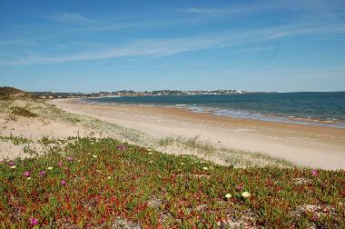 Ferienhaus in Punta del Este (Maldonado) oder Ferienwohnung oder Ferienhaus
