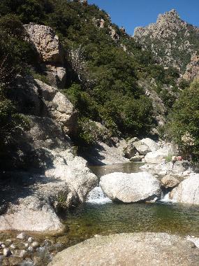 Ferienwohnung in labastide rouairoux (Tarn) oder Ferienwohnung oder Ferienhaus