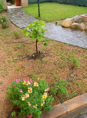 Ferienhaus in Capoterra (Cagliari) oder Ferienwohnung oder Ferienhaus