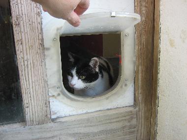 Ferienhaus in Alba (Cuneo) oder Ferienwohnung oder Ferienhaus