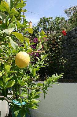 Ferienhaus in Marina di Camerota (Salerno) oder Ferienwohnung oder Ferienhaus