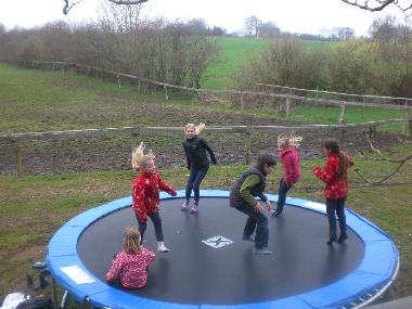Das Trampolin 