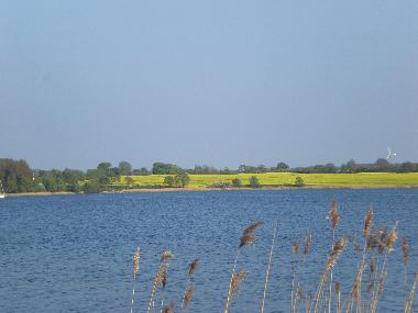 Die Schlei