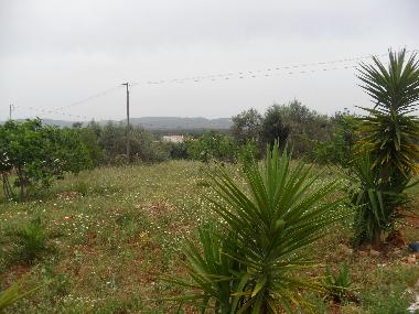 Ferienwohnung in Ribeira de Alte - Paderne (Algarve) oder Ferienwohnung oder Ferienhaus