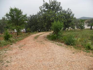 Ferienwohnung in Ribeira de Alte - Paderne (Algarve) oder Ferienwohnung oder Ferienhaus