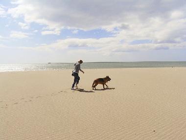Ferienhaus in St. Pierre la Mer (Aude) oder Ferienwohnung oder Ferienhaus