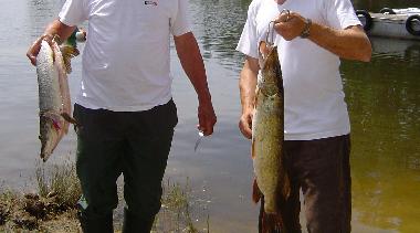 Chalet in Saint-G�rons (Cantal) oder Ferienwohnung oder Ferienhaus