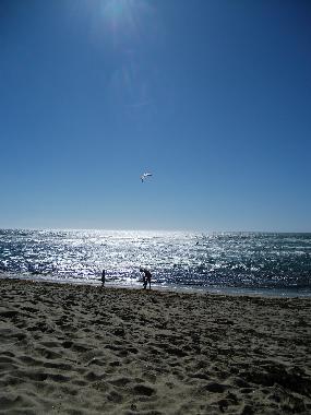 Ferienwohnung in moledo (Norte) oder Ferienwohnung oder Ferienhaus