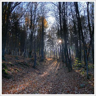Chalet in Jelenia Gora (Dolnoslaskie) oder Ferienwohnung oder Ferienhaus