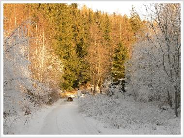 Chalet in Jelenia Gora (Dolnoslaskie) oder Ferienwohnung oder Ferienhaus