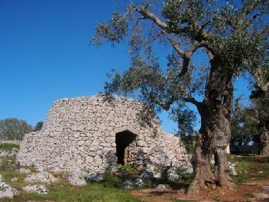 Villa in Tricase (Lecce) oder Ferienwohnung oder Ferienhaus
