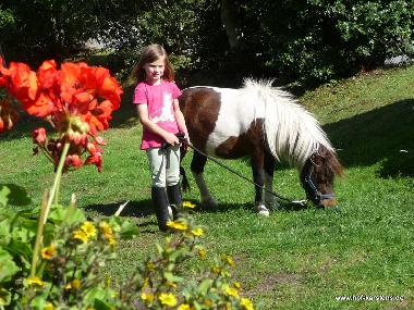 Ferienwohnung in Elpersbttel (Nordsee-Festland) oder Ferienwohnung oder Ferienhaus