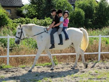 Ferienwohnung in Elpersb�ttel (Nordsee-Festland) oder Ferienwohnung oder Ferienhaus