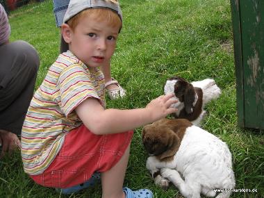 Ferienwohnung in Elpersb�ttel (Nordsee-Festland) oder Ferienwohnung oder Ferienhaus