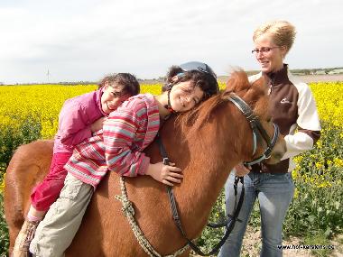 Ferienwohnung in Elpersb�ttel (Nordsee-Festland) oder Ferienwohnung oder Ferienhaus