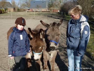 Ferienwohnung in Elpersb�ttel (Nordsee-Festland) oder Ferienwohnung oder Ferienhaus