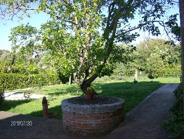 Ferienhaus in castelnuovo berardenga Siena (Siena) oder Ferienwohnung oder Ferienhaus