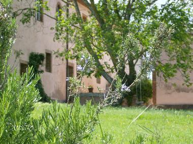 Ferienhaus in castelnuovo berardenga Siena (Siena) oder Ferienwohnung oder Ferienhaus
