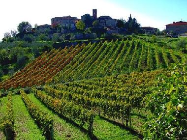Ferienhaus in castelnuovo berardenga Siena (Siena) oder Ferienwohnung oder Ferienhaus