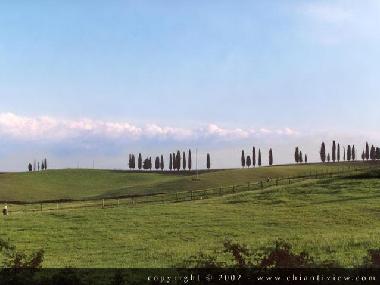 Ferienhaus in castelnuovo berardenga Siena (Siena) oder Ferienwohnung oder Ferienhaus