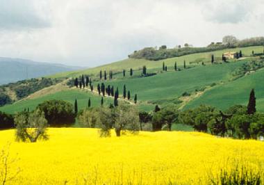 Ferienhaus in castelnuovo berardenga Siena (Siena) oder Ferienwohnung oder Ferienhaus
