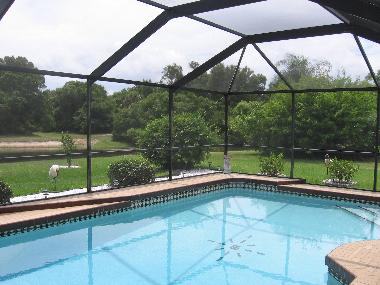 Pool mit Blick auf den See