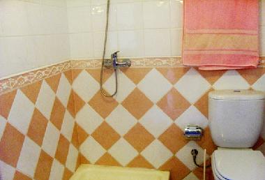 Villa in Macieira de Alcoba (gueda, Aveiro) (Baixo Vouga) oder Ferienwohnung oder Ferienhaus