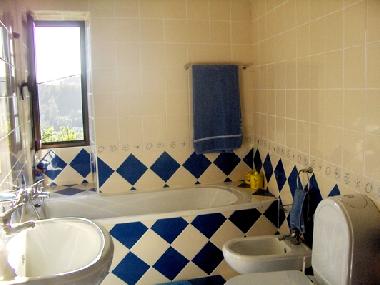 Villa in Macieira de Alcoba (gueda, Aveiro) (Baixo Vouga) oder Ferienwohnung oder Ferienhaus