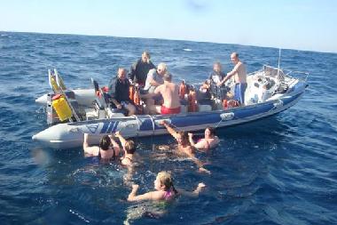 Gemeinsames Schwimmen im Indischen Ozean nach der Walbeobachtung.