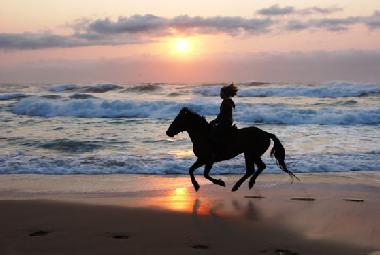 Reiten am Strand, in Lake Eland oder im Oribi Gorge.