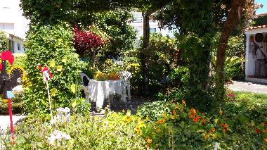 garten mit  alles zum essen