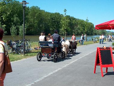 Kutschenausfahrt von REITEN HOSCHKARA aus  Frauendorf- spezialisiert auf Kinder - auf der Uferprmena
